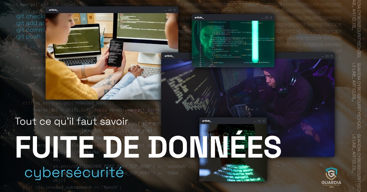 Fuite de données : tout ce qu'il faut savoir - Guardia Cybersecurity School