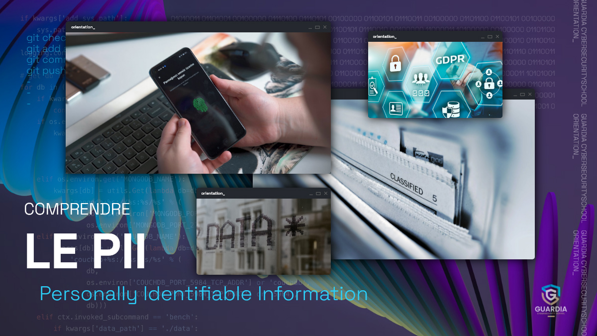 QU’EST-CE QUE LE PERSONALLY IDENTIFIABLE INFORMATION PII ?